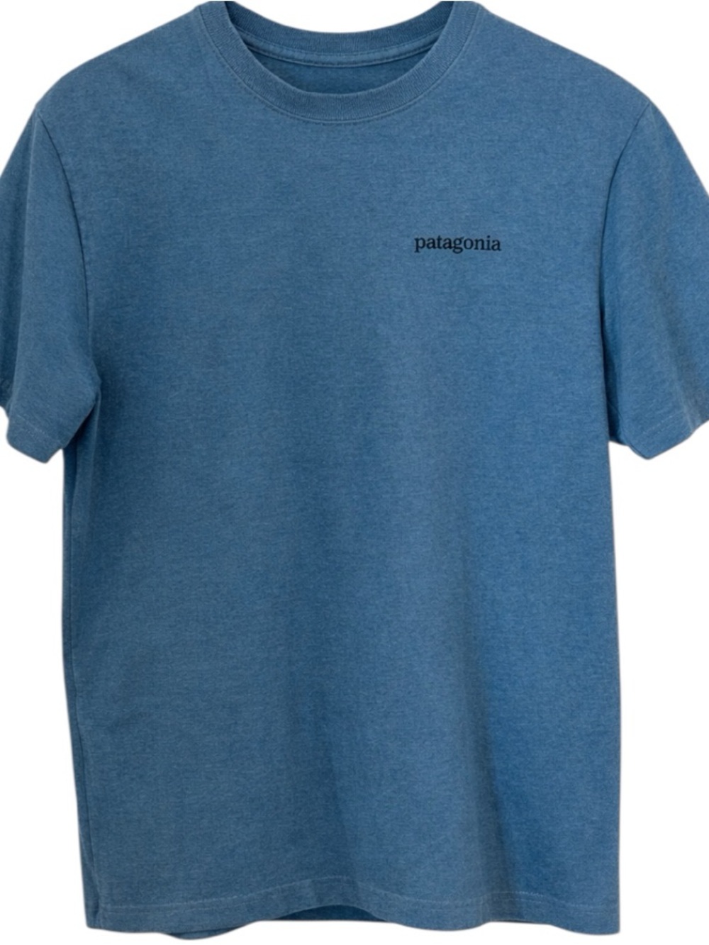 Patagonia Tshirt Blur Men’s Size Small